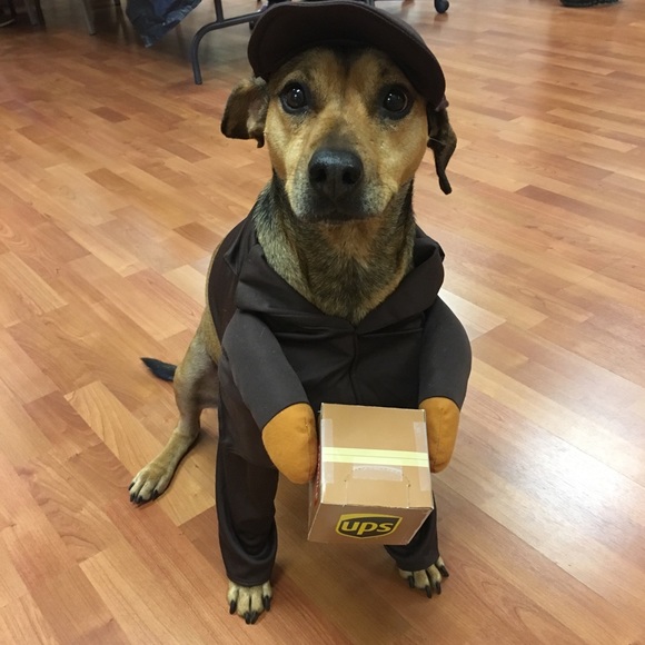 Meet your Posher, Susannah - Picture 1 of 1